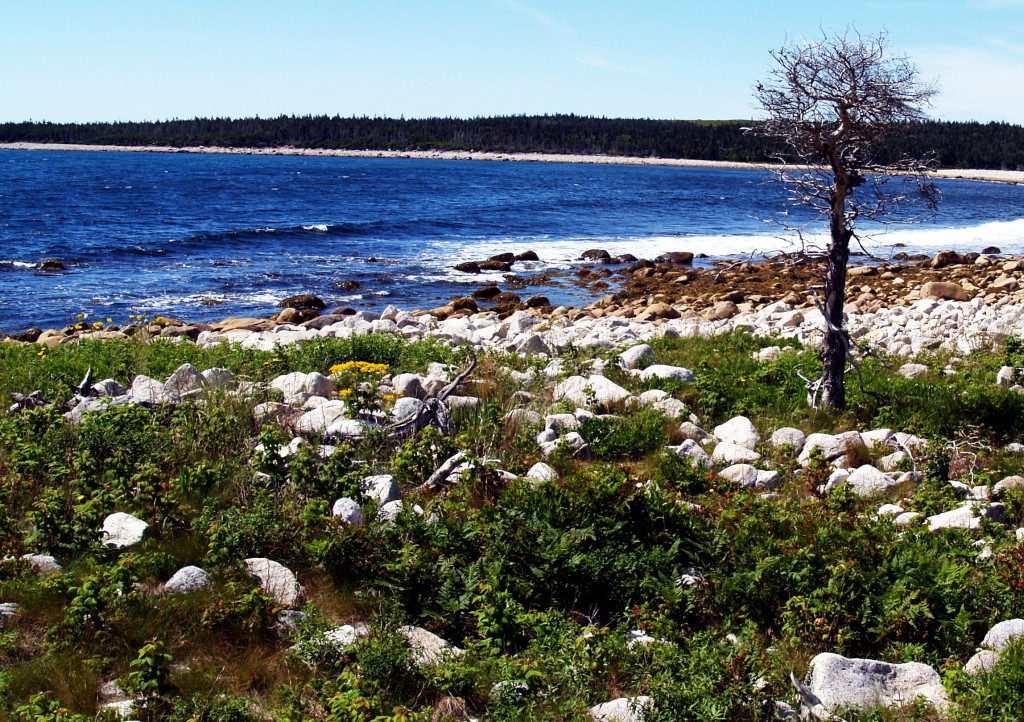 The magnificent ocean vista on Nova Scotia's Eastern Shore