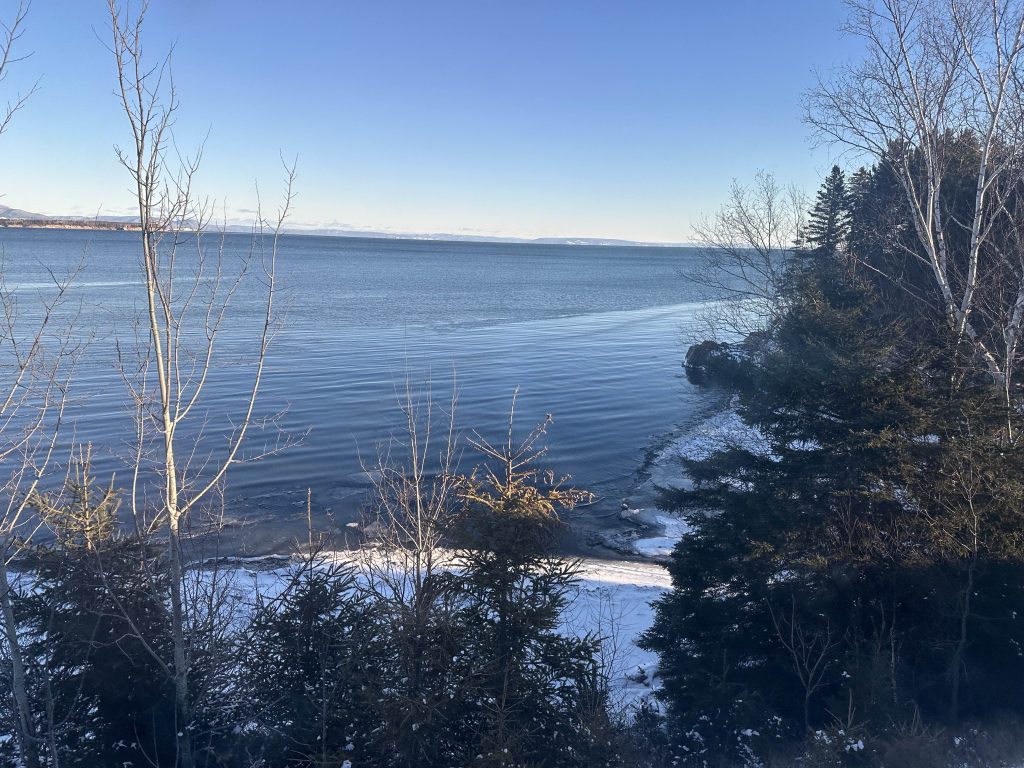 A photo from the window of a train on the Bay of Chaleur in New Brunswick, with a few conifer trees in the foreground, snow-covered shoreline an then slightly rippled blue water, with hazy view of the Gaspe Peninsula in the far distance across the water. Credit: Joan Baxter