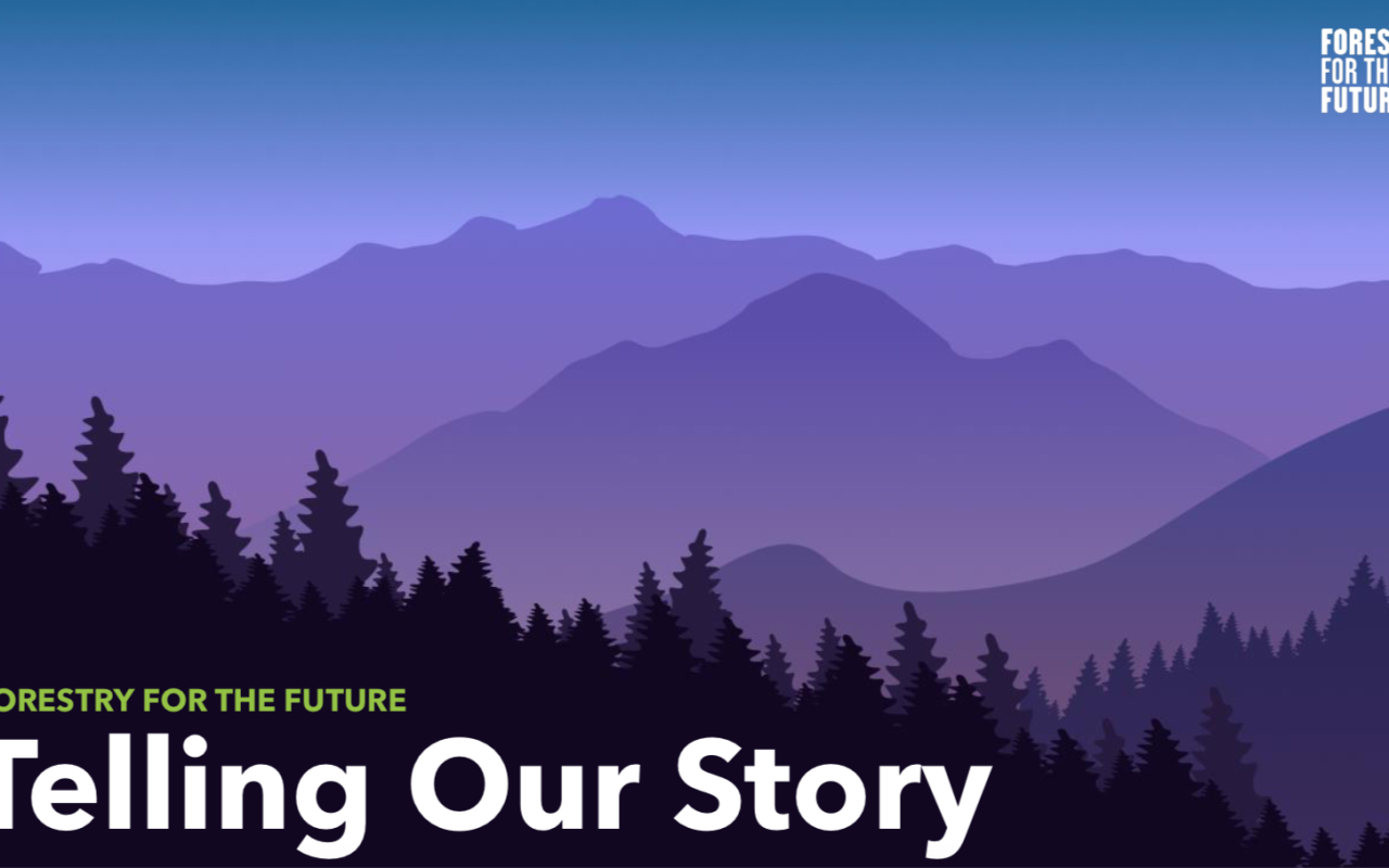 A screenshot from a presentation shows a graphic representation of a mauve or purplish mountain landscape with the dark pointed tops of what look like spruce or fir trees in the foreground, under a blue sky. In the upper right corner in white text are the words "Forestry For The Future" beside a stylized white skeletal tree logo, and in the bottom left, in green text the same words, over white text saying, Telling Our Story.